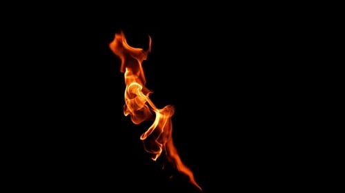 Burning Fire Isolated on Black Background in Vertical