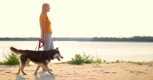 Young Woman Enjoying Evening Walk with Her Pet Dog on the Beach in Summer