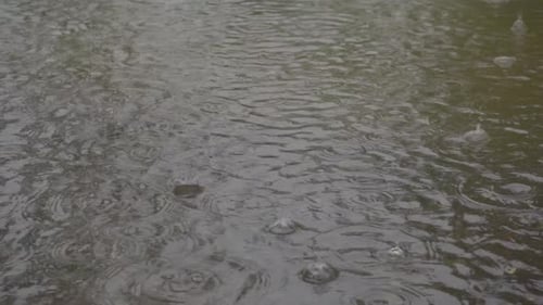 Rain Dropping On Murky Flood Area During Rainy Season. Slow Motion