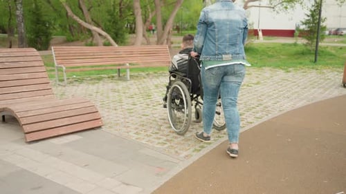 Assistance Through Scenic Urban Area Guide Navigating Wheelchair Amid Park Serenity Support Person