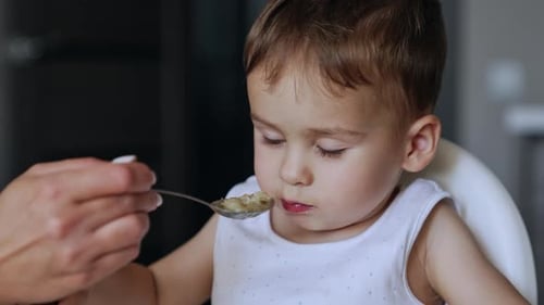 Adorable Child Being Fed Indoors