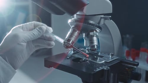 Blood Sample Under Microscope in Modern Laboratory