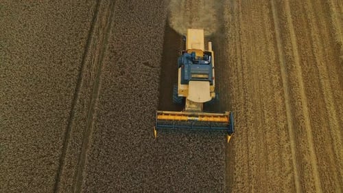 Birdseye Shot of A Combine Harvester Working in a Field. Harvesting, Threshing and Winnowing.