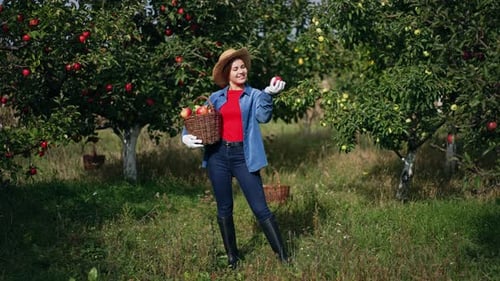 Mujer joven y atractiva con sombrero, vaqueros y botas altas que sostiene una cesta de manzanas.