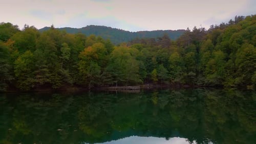 Autumn Forest and Lake