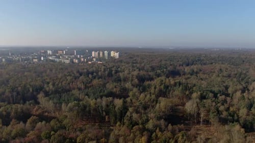 Luftbild des Waldes mit Stadt und Gebäuden im Hintergrund Blauer Himmel ohne Wolken