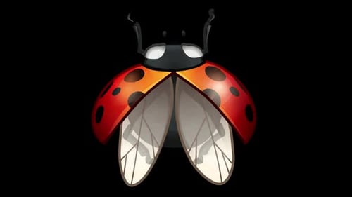 Animated Ladybug Opening Wings Flying Cycle