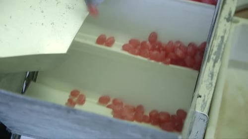 finished lollipops fall on a conveyor belt in a candy factory