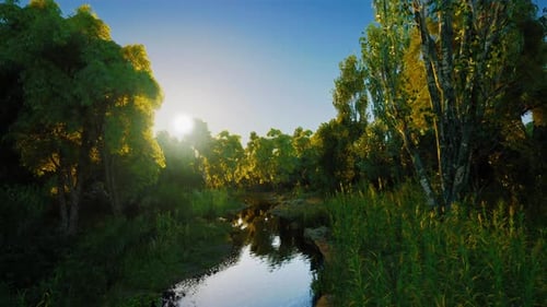 Sunrise Over a Tranquil River Surrounded By Lush Greenery and Trees