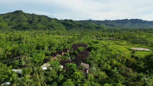 Aerial View of Cottages Among Palm Trees and Other Greenery