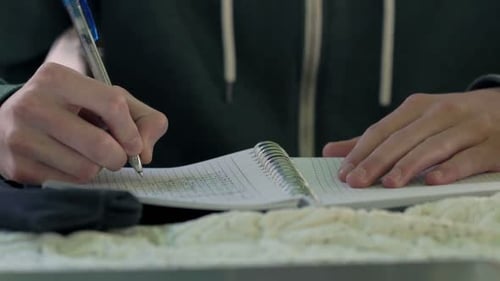 Young, Teenager with Notepad Doing Homework Sitting by Table in Cafe Adolescent