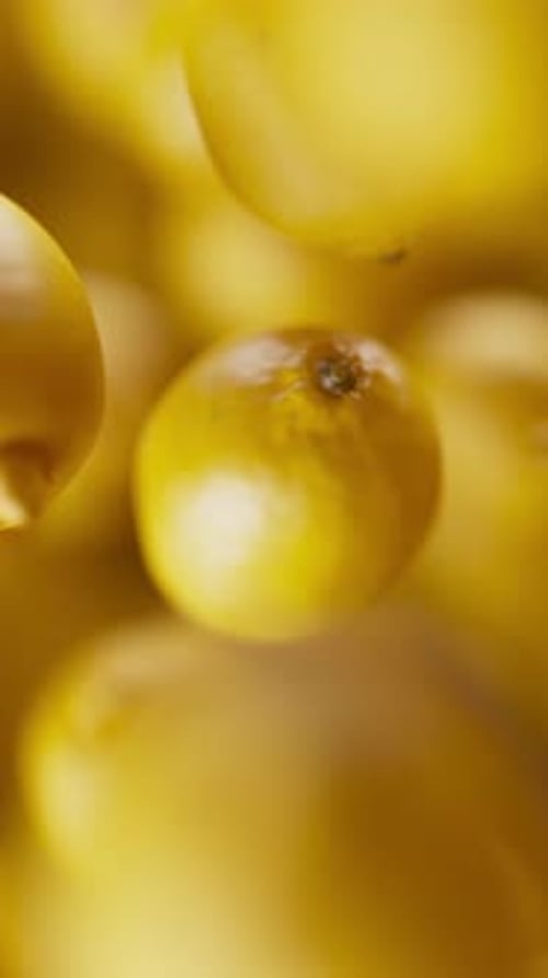 Animation of a group of lemons. Defocus. Close-up.