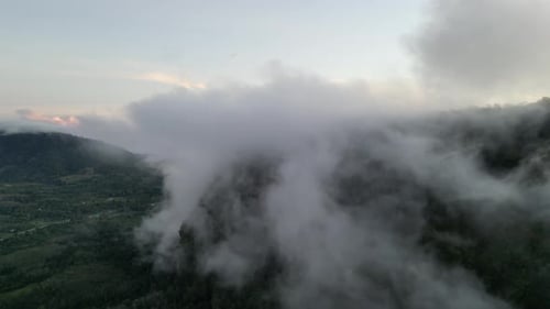 Overhead perspective of plantation blanketed by white clouds