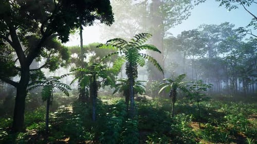 Lush Jungle Forest with Misty Sunbeams and Greenery