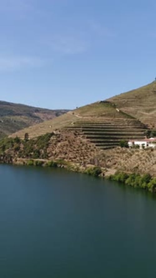 Vertical Video of Stunning Nature in Douro Valley, Portugal
