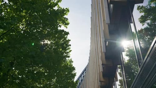 Low-angle shot of a modern office building framed by lush green trees and reflective window in Londo