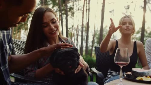Friends Gather Outside Woman Holds Dog in Lap