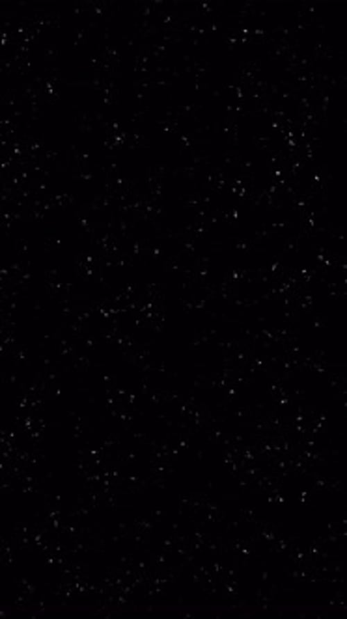 Vertical Grunge Film Overlay with White Noise Particles