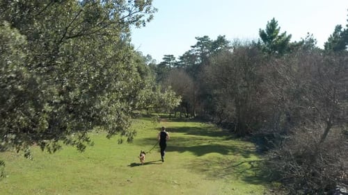 Caucasian Woman With Her Dog On Leash Jogging Through Trees In Cres, Croatia On A Sunny Morning. aer