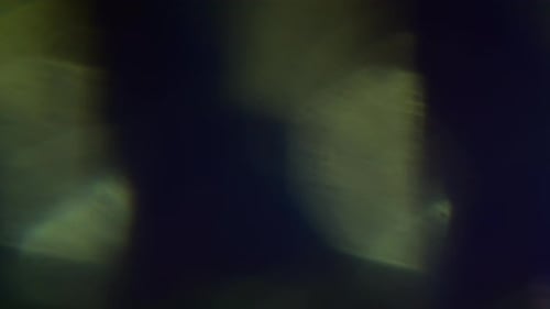 Abstract Colorful Light Leaks and Flares