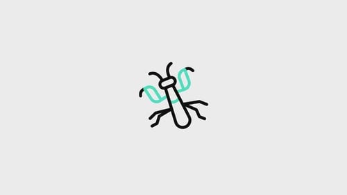 Animated Minimalist Insect with DNA Wings