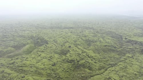 Aerial View of Eldhraun Lava Field, Iceland, Flying with Drone Above Mossy Geological Lava Flows