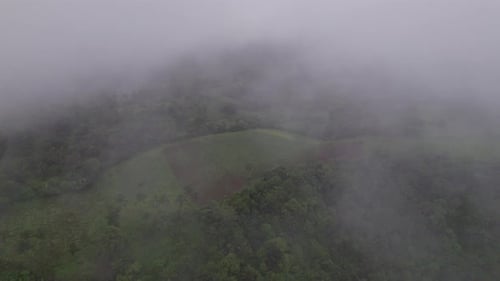 Aerial Shot Of Forest With Foggy Clouds