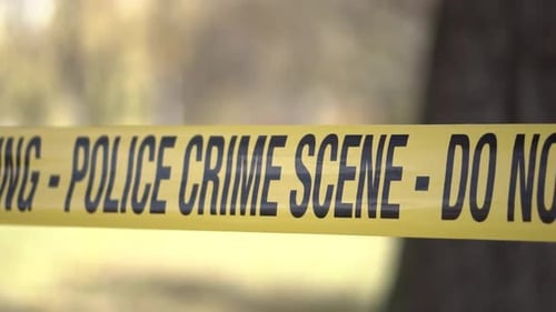 Police Crime Scene Tape Ribbon Behind Tree in Park, Close Up