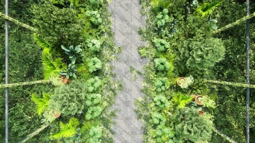 Aerial View of Lush Green Garden Path Animation
