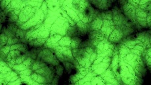 Abstract microscope cell texture