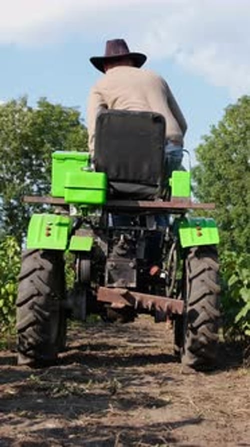 A Dedicated Farmer Skillfully Operating a Green Tractor in a Vast Field of Crops All Around