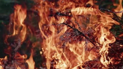 Abstraktes Eichenholz-Lagerfeuer in Flammen, Rauch und Asche 30