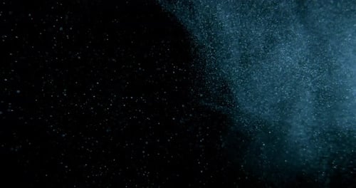 Natural Organic Dust Particles Floating On Black Screen