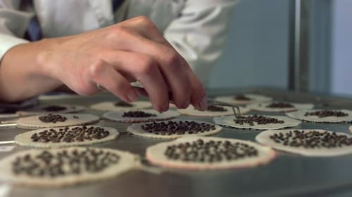 Scientist Carefully Places Seeds with Tweezers in Petri Dishes