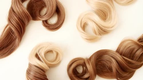 Blond Brown Shiny Wavy Hair on White Background Shiny Woman Hair Strand Curl Hair Care and Beauty