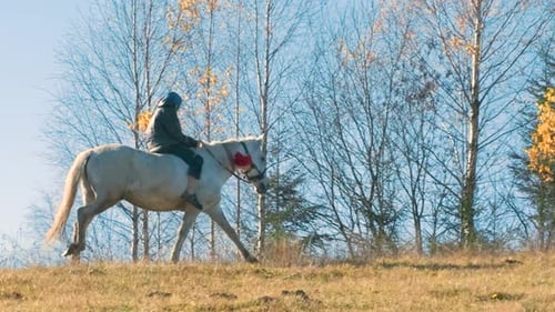 A Man Riding a Horse in Autumn Field