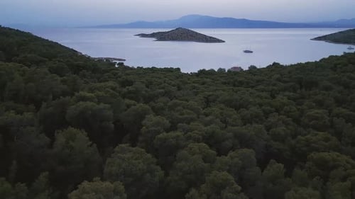 Mediterranean seaside with trees sea and sailboat at sunset