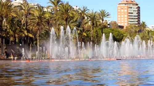 Beautiful spectacular water fountain with pond rainbow and palm trees in frame in real time