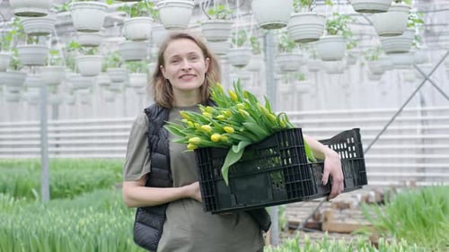 Woman Holds Tulips in Greenhouse