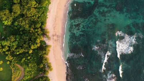 Aerial Drone Flying Over Costa Rica Beach and Tropical Jungle