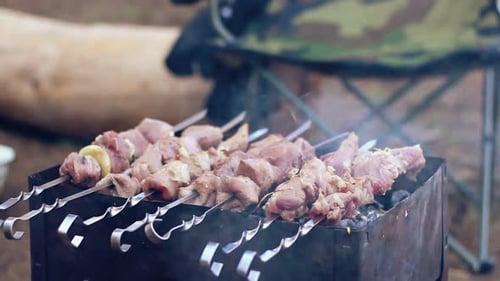 Meat Cooking on Skewers Over Grill Outdoors