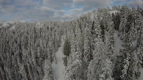 Canadian Rocky Mountain Landscape in British Columbia Canada