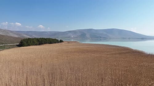 Flying over yellow field in a sunny day with lake and mountains in the background Flying over field