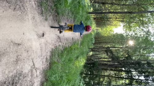 Vertical Video a Boy in a Safety Helmet Rides a Bicycle on a Wild Forest Path