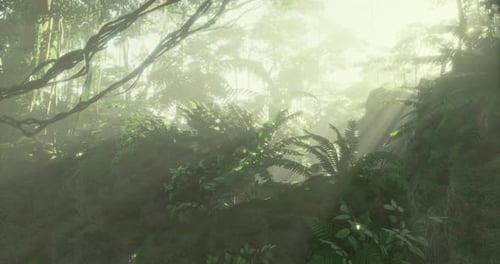 Sunlight Streams Through the Forest Creating a Magical Atmosphere