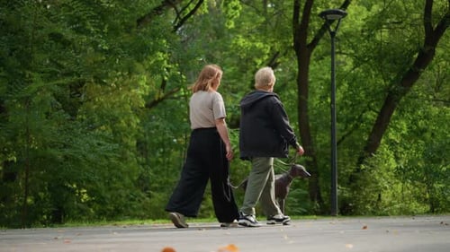 Women Walking Dog on Leash in the Park