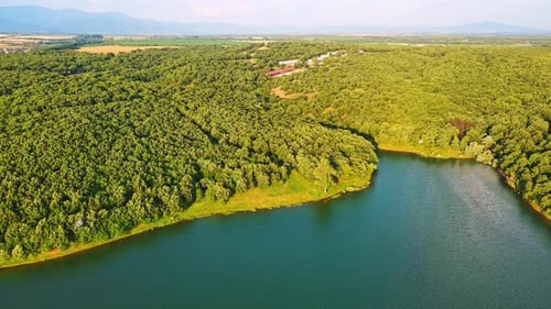 Lake with Clear Water and Stone Shore in Spruce Forest with Fir Trees Against a Daytime Sky