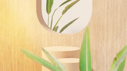 Product Presentation Stand with Wooden Wall with Opening and Green Leaves 3d Render