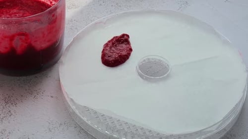 Making Fruit Leather with a Dehydrator at Home