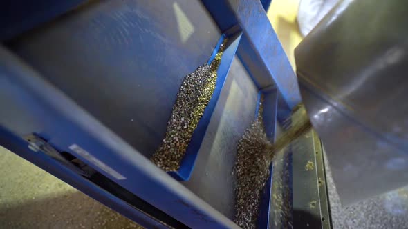 Industrial Machine For Sorting Hemp Seeds From Other Weeds - close up ...